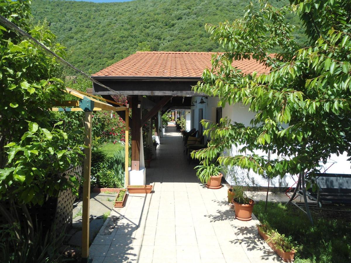 Pensiunea La Dolce Vita Băile Herculane エクステリア 写真